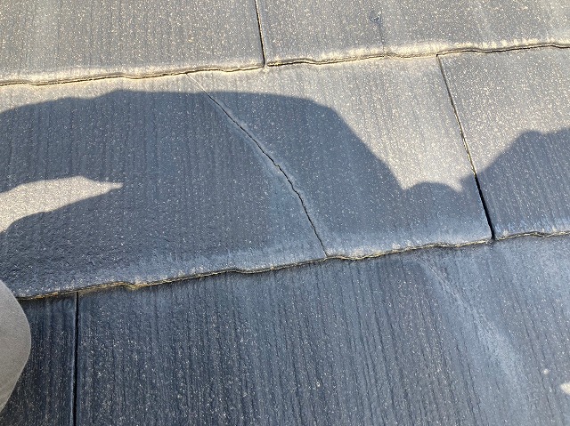 コロニアルの被害